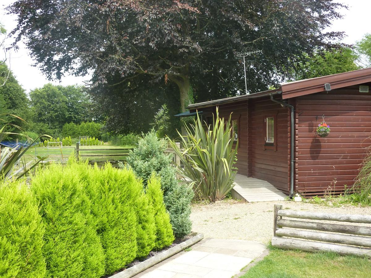 Cypress Log Cabins Accommodation Godshill  ภายนอก รูปภาพ