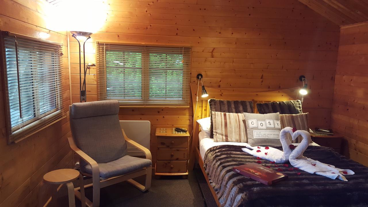 Cypress Log Cabins Accommodation Godshill  ภายนอก รูปภาพ